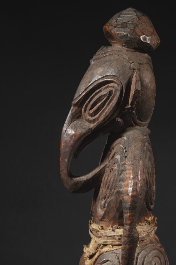 sepik